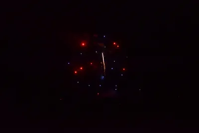 DSC_3409 (Large).JPG